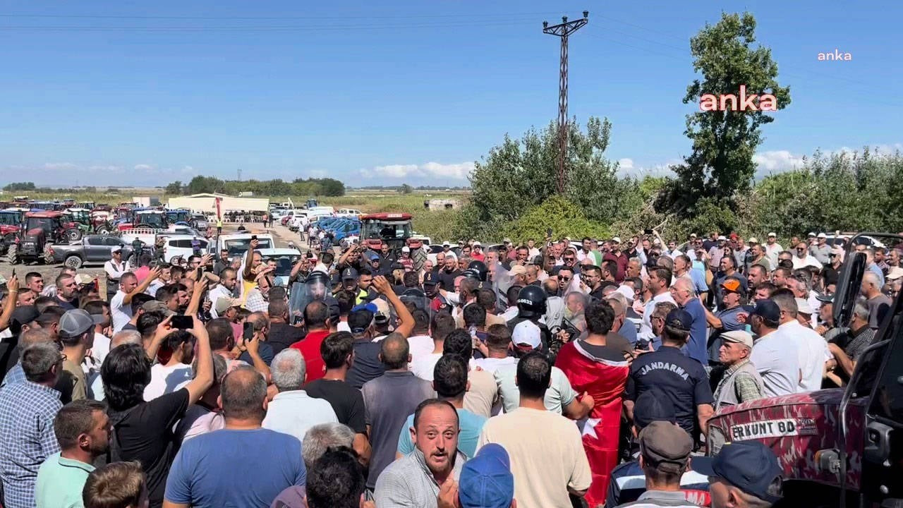 Turkish tomato farmers block major highway in protest of low prices