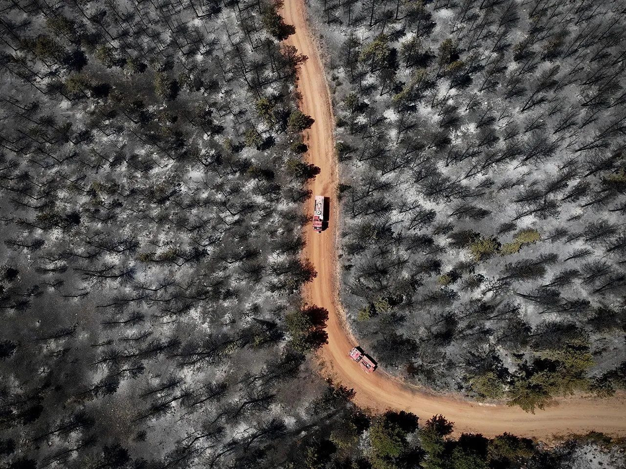 Recent wildfires change color of landscape in western Turkey - Page 1