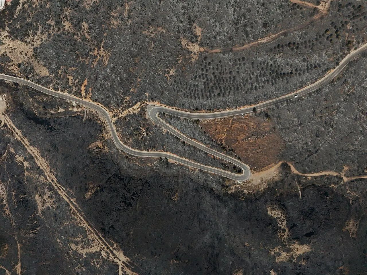 Recent wildfires change color of landscape in western Turkey - Page 3