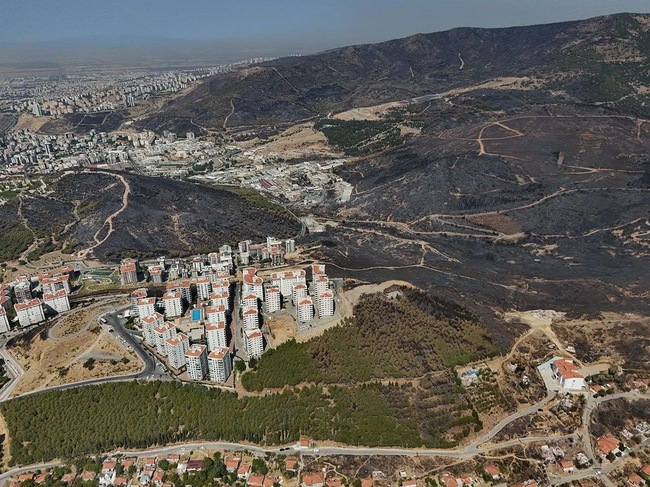 Recent wildfires change color of landscape in western Turkey - Page 5