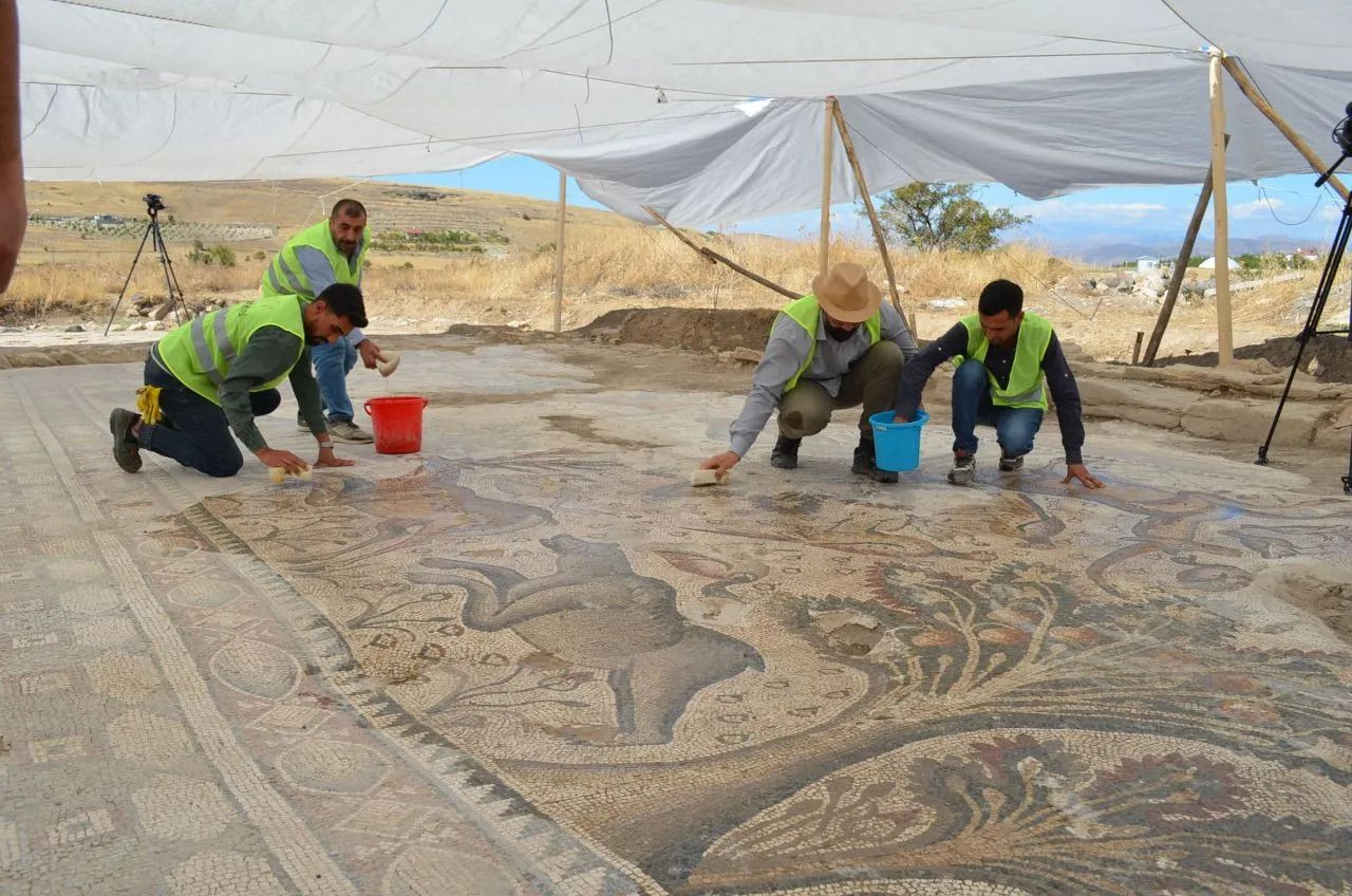 Man discovers massive Roman mosaic floor while gardening in eastern Turkey - Page 1