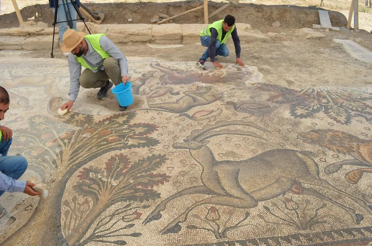 Man discovers massive Roman mosaic floor while gardening in eastern Turkey - Page 3