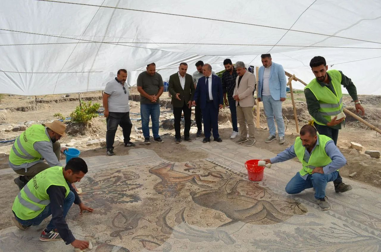 Man discovers massive Roman mosaic floor while gardening in eastern Turkey - Page 5