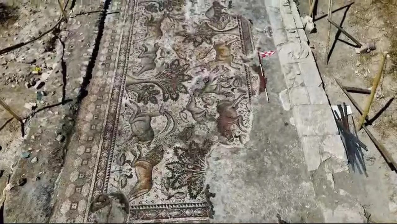 Man discovers massive Roman mosaic floor while gardening in eastern Turkey - Page 6