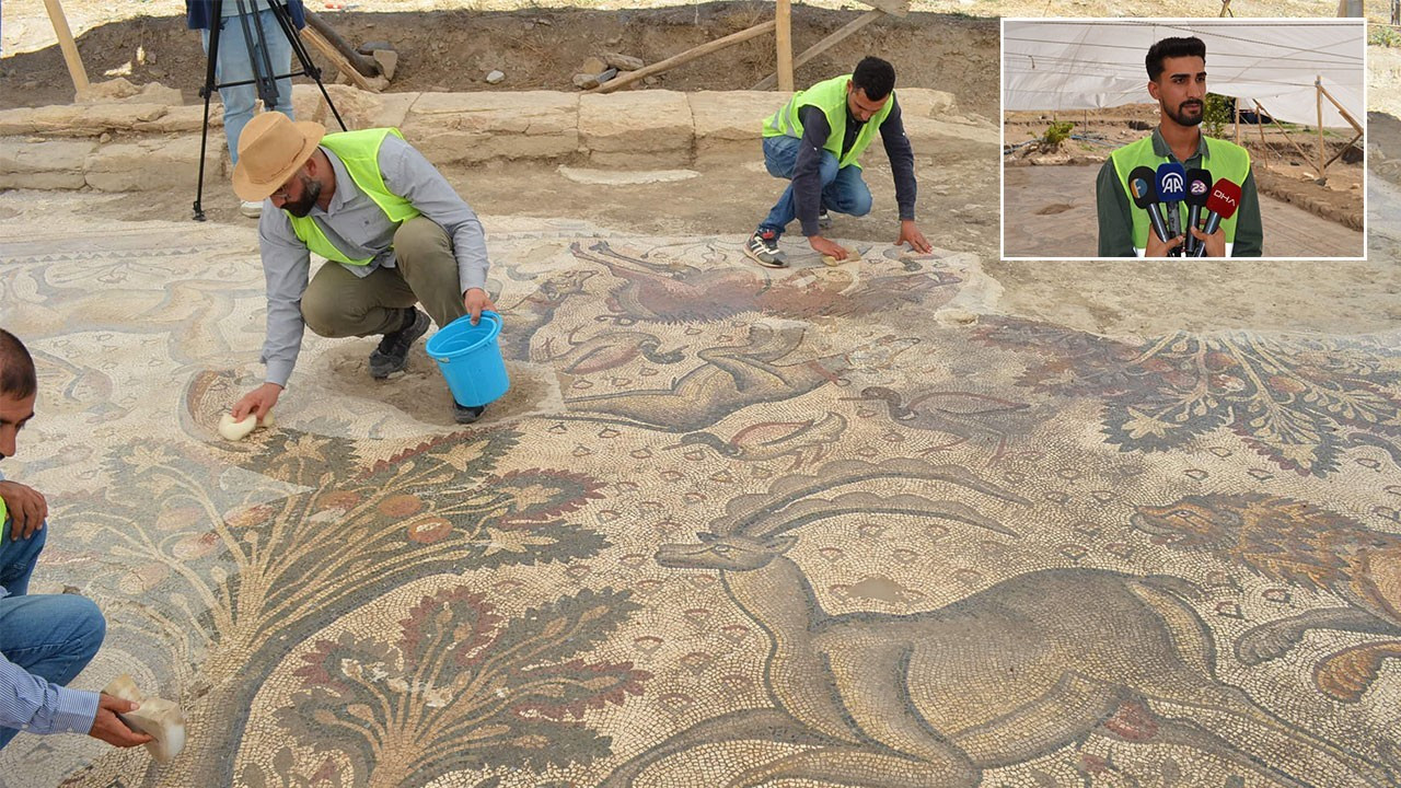 Man discovers massive Roman mosaic floor while gardening