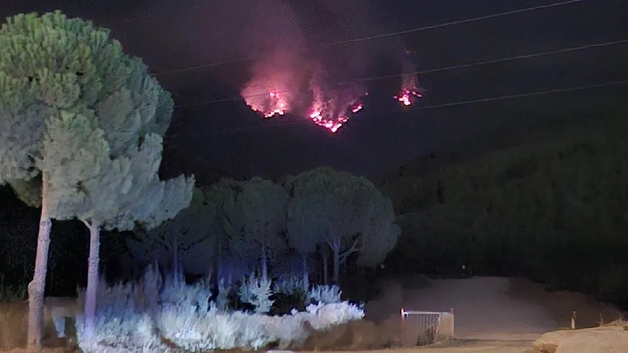 Forest fire continues for fifth day in western Turkey