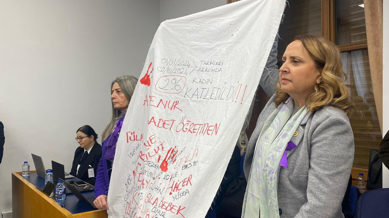 Opposition parties unfurl 'burial shroud' in protest of femicides during Family Ministry budgetary meeting