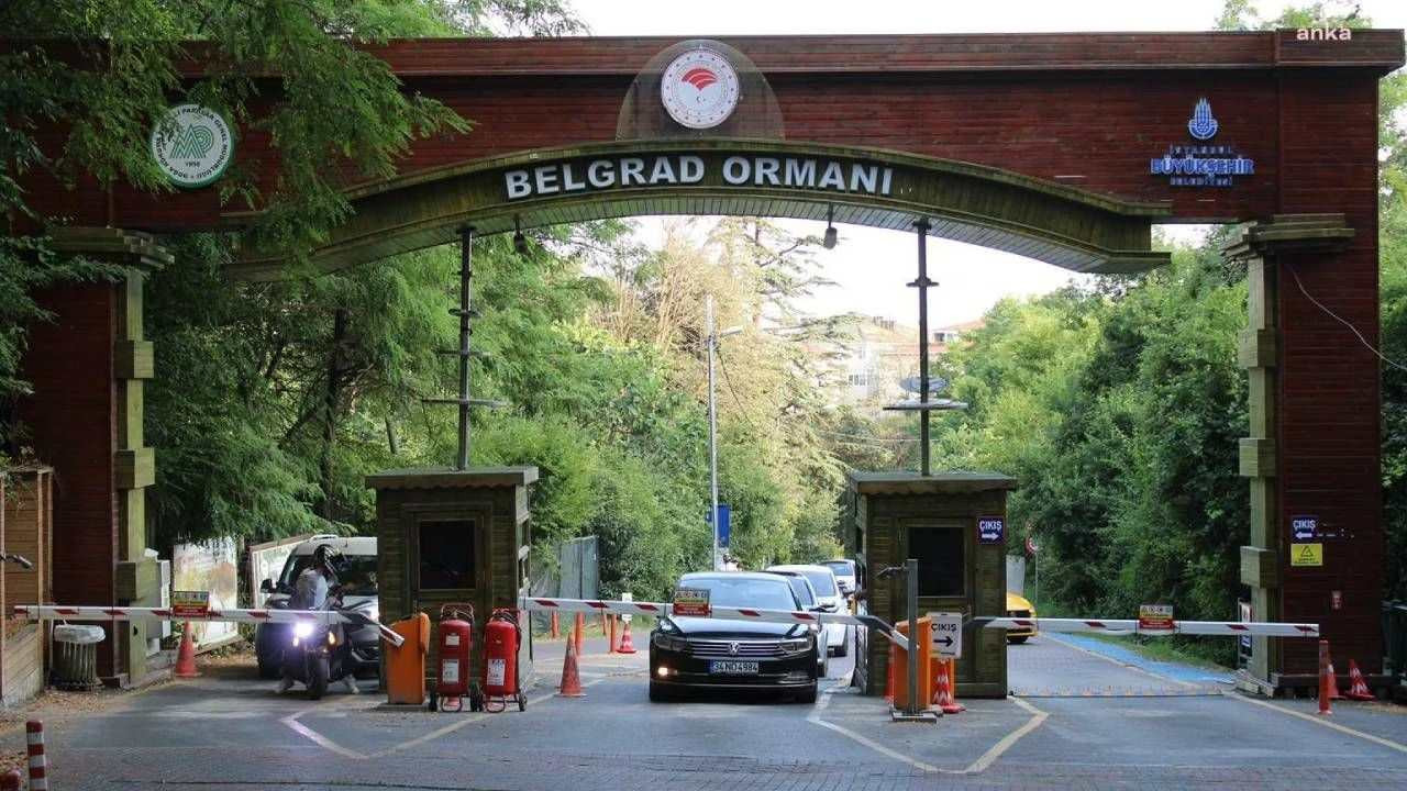 Istanbul Municipality forced out of managing city's largest forest