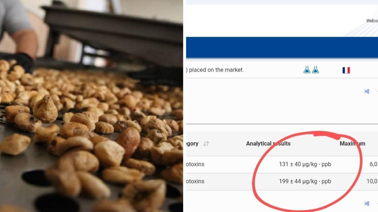 France rejects dried figs from Turkey due to dangerous aflatoxin levels