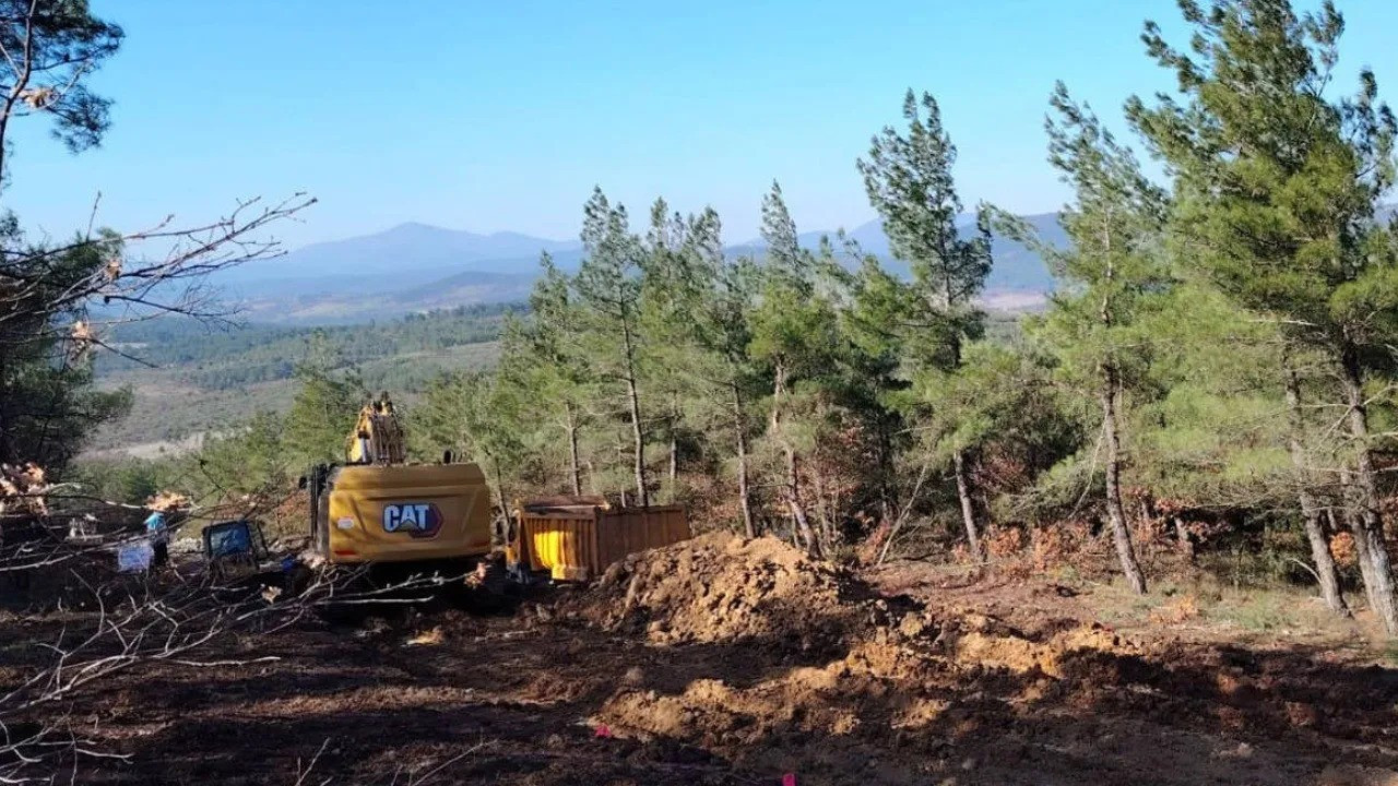 Cengiz Holding continues tree-cutting in western Turkey's Kaz Mountains despite court order