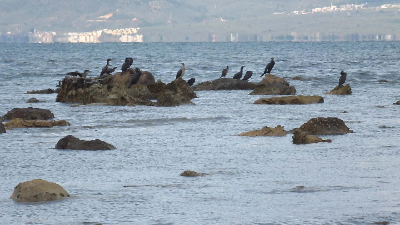 Aegean Sea recedes after strong winds, revealing 2,500-year-old port ruins - Page 3