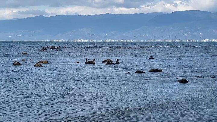 Aegean Sea recedes after strong winds, revealing 2,500-year-old port ruins - Page 5