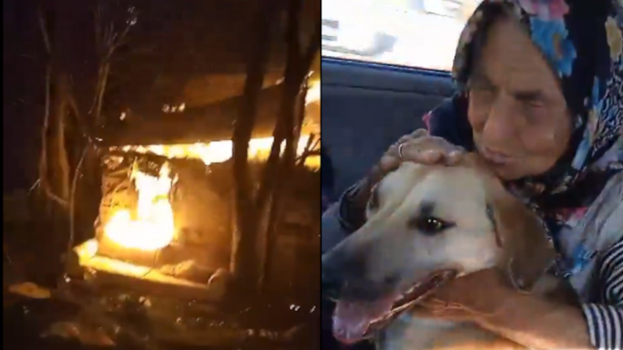 82-year-old, targeted on social media for feeding dogs, dies in suspicious fire