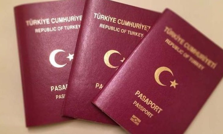 Turkish asylum app.s to Germany increase in first two months of 2024