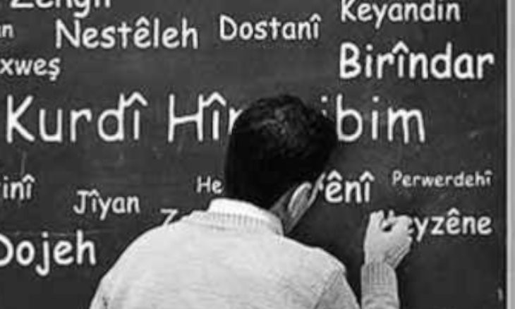 Kurds on Kurdish courses