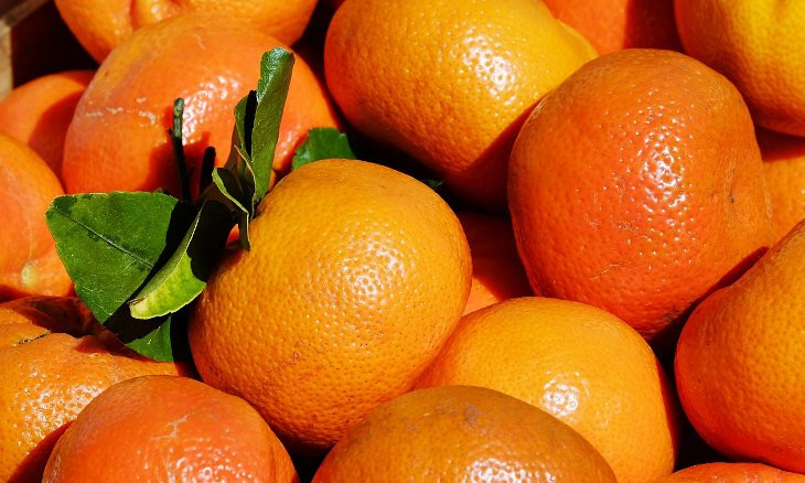 Russia returns 370 tons of tangerines to Turkey due to pests