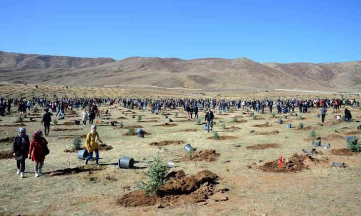 11 million saplings planted across Turkey as part of mass campaign