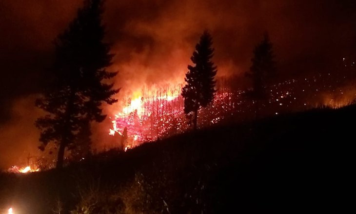 Forest fires engulfing the Black Sea region started by humans, says minister