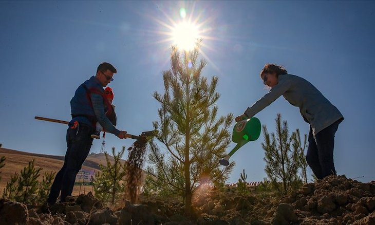90 pct of 11 mln tree saplings planted by gov't 'died'