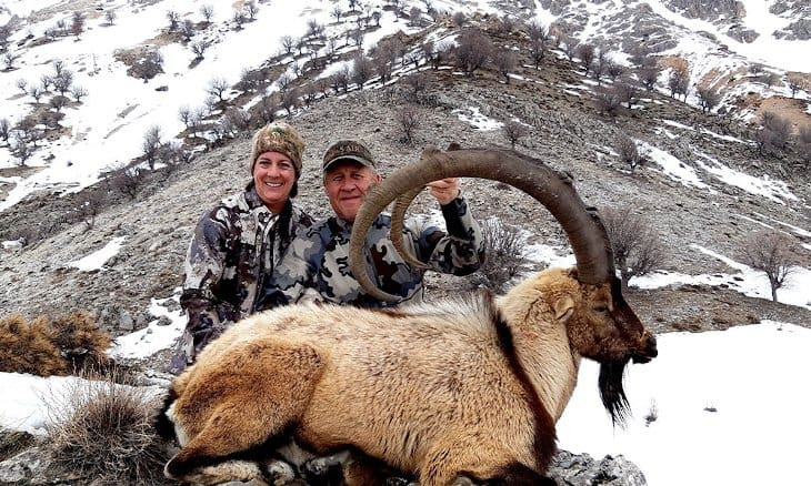 American couple kills two mountain goats considered sacred in eastern Turkey