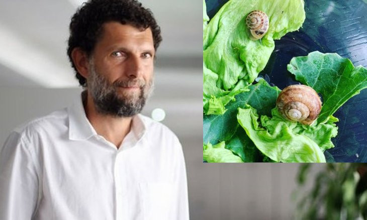 Osman Kavala looked after snails in prison, had to abandon them after rearrest