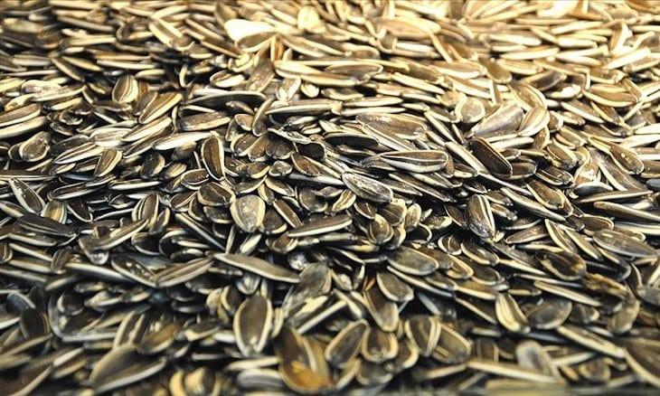 Coronavirus outbreak could double sunflower seed prices in Central Turkey