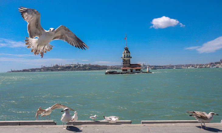 Powerful winds carry sediments from Black Sea to Marmara, turn Bosphorus turquoise