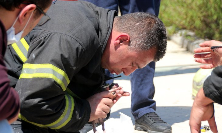 Turkish firefighters bring two newborn kittens back to life using CPR after fire