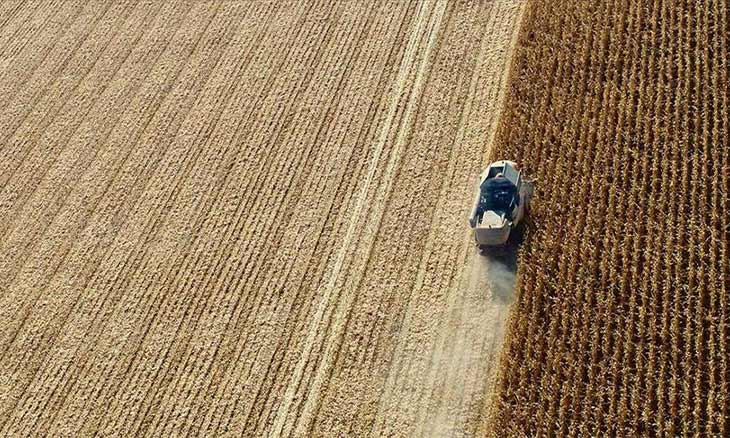 Turkey's engineers warn against COVID-19 pause in food production, hint at looming food crisis