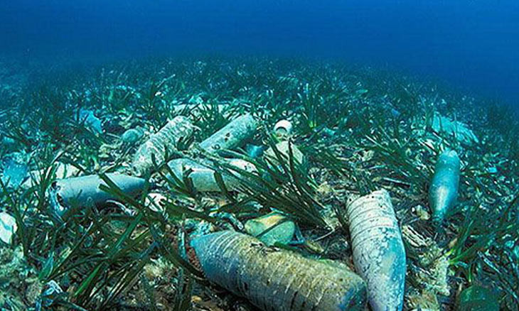 Istanbul diver reveals COVID-19 pollution in the Bosphorus' waters