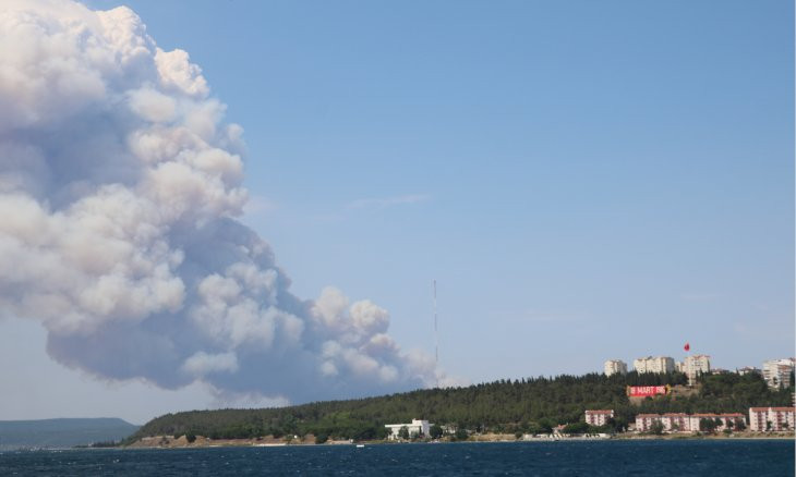 Çanakkale Strait closed to maritime traffic due to forest fire on Gallipoli peninsula