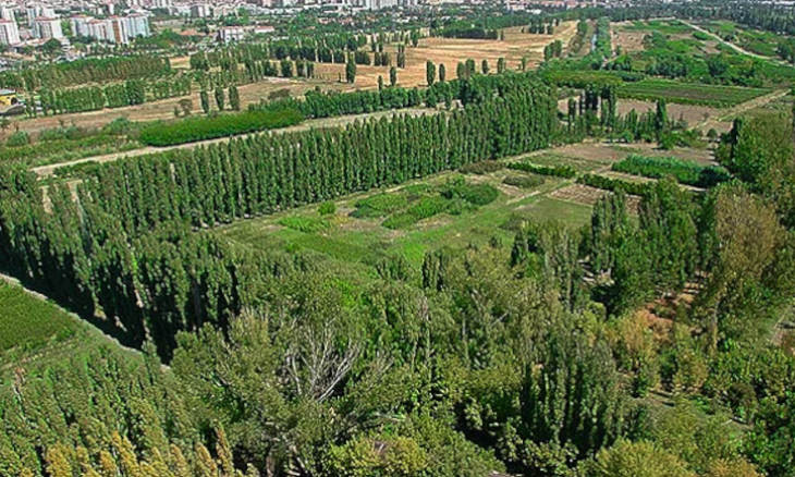 Protected land in Ankara's Atatürk Forest Farm rented to Ministry of National Defense