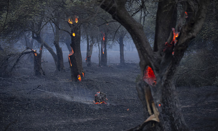 Fire scorches through hundreds of hectares in northwest Turkey