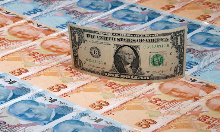 'Turkish Lira will continue to fall, will reach 8.25 to the dollar by next year'