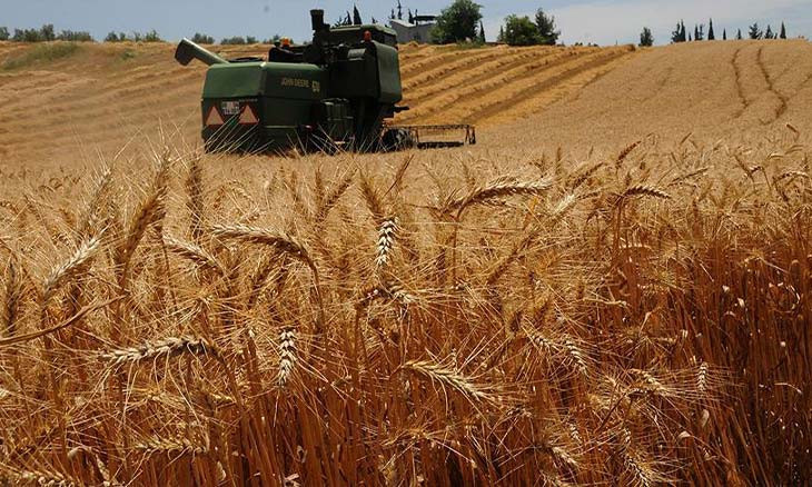 Turkey's agricultural production 'dropped dramatically' under AKP gov't