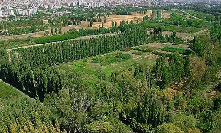 Architects win another victory in legal battle to prevent construction on Ankara's iconic forest farm