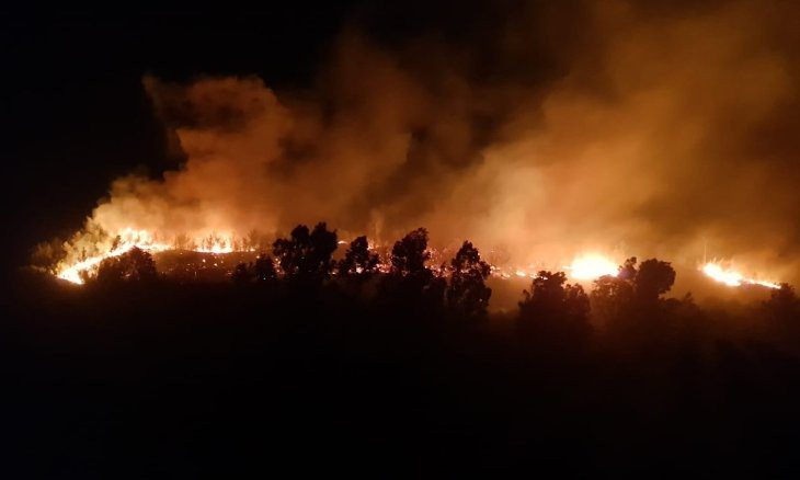 Document reveals local Hatay authorities' plans to construct chromium mine in forest fire area