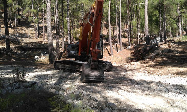 Turkish Lycian Way risks becoming desert due to excessive tree cutting